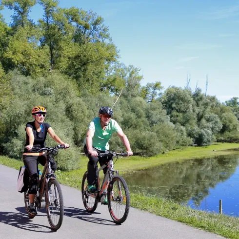 Eine Gruppe von Radfahrern steht im Freien, umgeben von Bäumen und Feldern. Einige Fahrräder sind in der Nähe geparkt.
