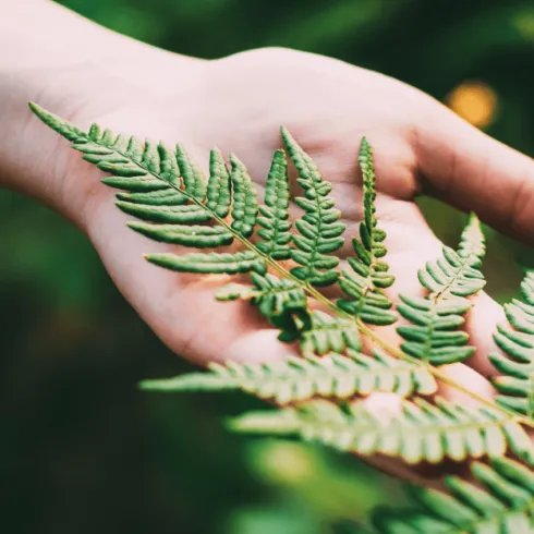 Waldbaden mit alle Sinnen (© Michaela Martin)