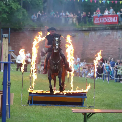 Klosterfest 2017 (© Südpfalz Tourismus VG Rülzheim e.V.)