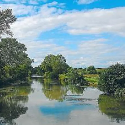 Rheinauenlandschaft (© Südpfalz - Tourismus VG Rülzheim e.V.)