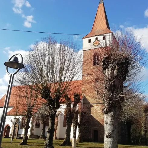 Eine alte Kirche mit einem hohen, spitzen Turm steht vor einem blauen Himmel. Um die Kirche herum sind kahl geschnittene Bäume und eine Straßenlaterne zu sehen.