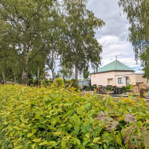 Ein ruhiger Ort mit Bäumen und einem kleinen Gebäude im Hintergrund. Vorne ist eine grüne Hecke zu sehen.