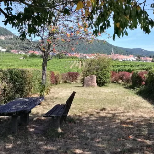 Ein schöner, ruhiger Garten mit einer Bank und Blick auf Weinberge. Im Hintergrund sind sanfte Hügel und ein klarer blauer Himmel zu sehen.