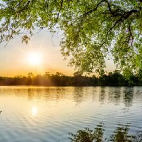 Ein ruhiger See, umrahmt von Bäumen, spiegelt das Licht der untergehenden Sonne. Die Landschaft ist friedlich und natürlich.
