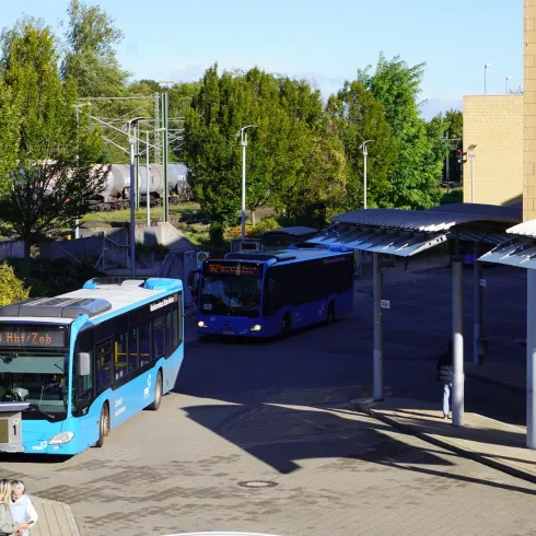 Zwei Busse halten an einer Haltestelle in einem urbanen Gebiet. Die Umgebung ist grün mit vielen Bäumen.