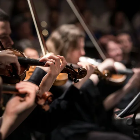 Musikfest Speyer Detailaufnahme (© Unsplash)
