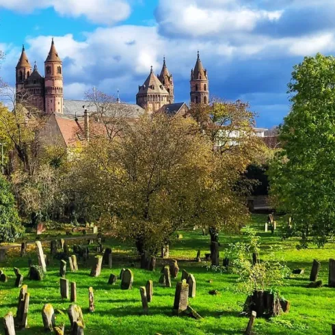 Ein historischer Friedhof mit vielen alten Grabsteinen und üppigem Grün. Im Hintergrund sind beeindruckende Türme eines Gebäudes und ein blauer Himmel zu sehen.