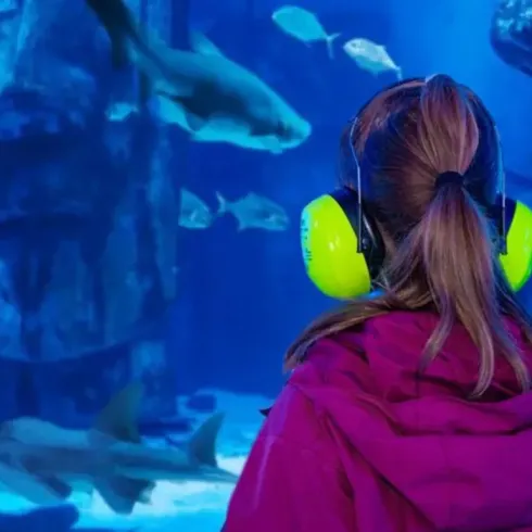 Ein Mädchen mit grünen Ohrenschützern steht vor einem großen Aquarium. Im Wasser schwimmen verschiedene Fische, darunter Haie.