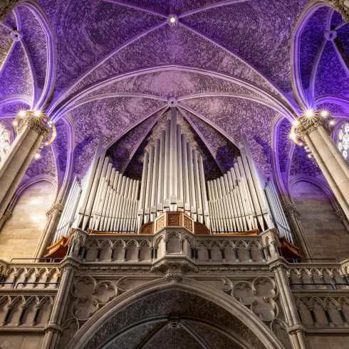 Ein beeindruckendes Kircheninnere mit einer hohen Decke und bunten Glasfenstern. Im Fokus steht eine majestätische Orgel, die das Ambiente der Kirche unterstreicht.