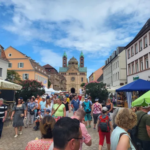 Blick auf Dom (© Stadt Speyer)