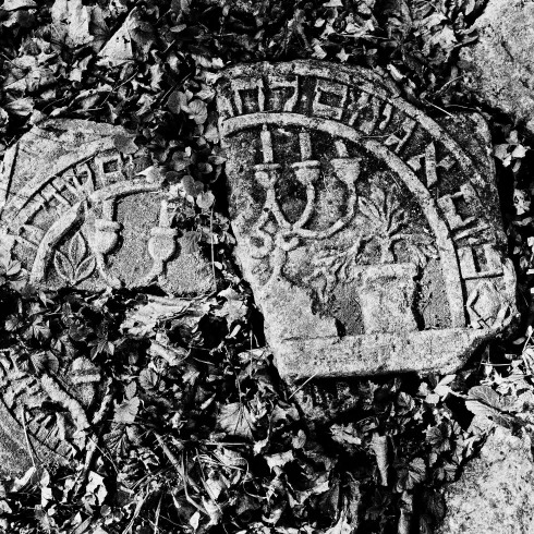 Zwei zerbrochene Grabsteine liegen zwischen Blättern. Die Steine zeigen Symbole und Inschriften.