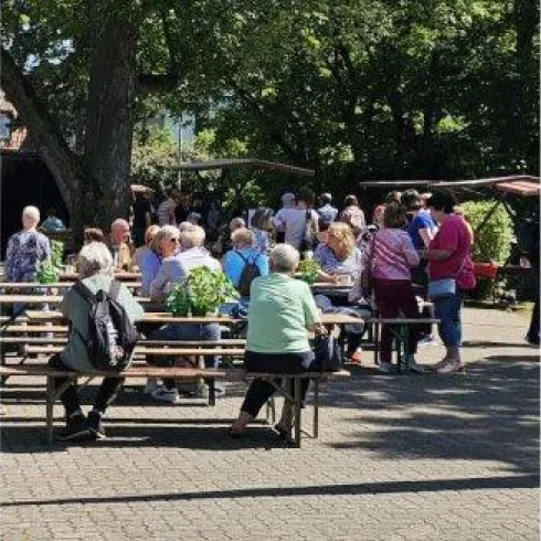 Eine Gruppe von Menschen praktiziert gemeinsam Tai Chi im Park. In der Mitte sind Zuschauer an Tischen und auf der rechten Seite sind ätherische Öle und Pflegeprodukte zu sehen.