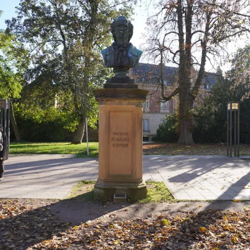 Büste Schwerd