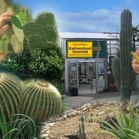Kakteenland (© Kakteenland Steinfeld)