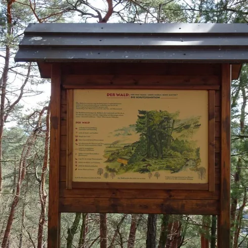 Walderlebnisweg Schindhard (© Jacques Noll)