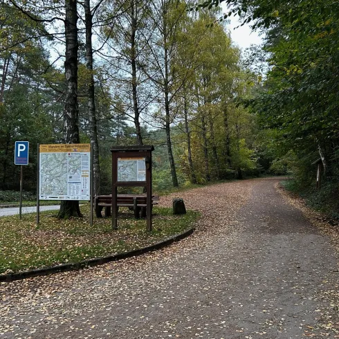 Ein Waldweg mit einer schmalen, gepflasterten Straße und einem Parkplatz. Im Hintergrund sind Bäume und ein Informationsschild zu sehen.