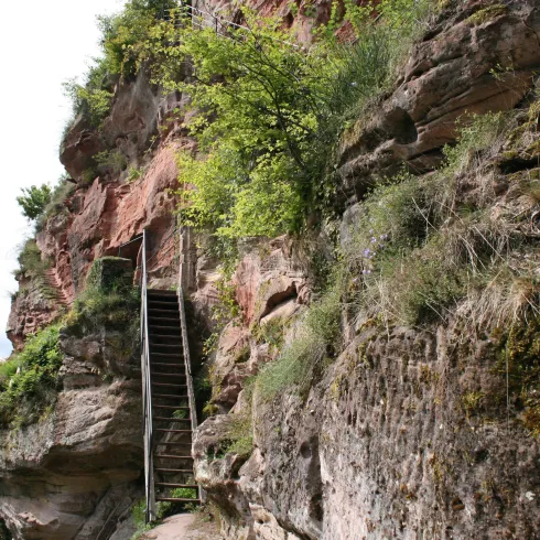 Eine steile Felswand mit einem Holzgeländer, das zu einer Treppe führt. Grüne Pflanzen und Bäume wachsen zwischen den Felsen.
