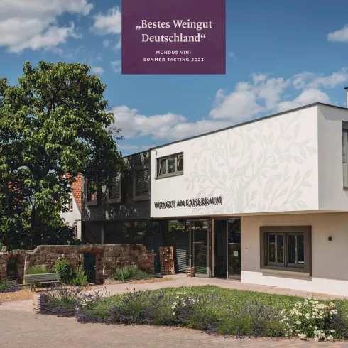 Ein modernes Gebäude mit einer hellen Fassade und großen Fenstern. Im Vordergrund befinden sich Pflanzen und ein Baum, die eine einladende Atmosphäre schaffen.