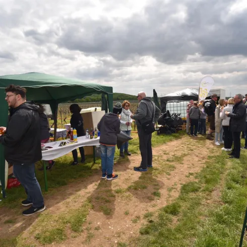 Eine Veranstaltung in den Weinbergen mit Menschen, die an einem Stand stehen. Im Hintergrund ist eine Gruppe von Besuchern zu sehen, die sich um die Stände versammeln.