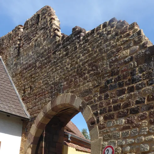 Ein historischer Torbogen aus Stein, der den Eingang zu einem Haus markiert. Im Hintergrund sind Pflanzen und ein Verkehrsschild sichtbar.