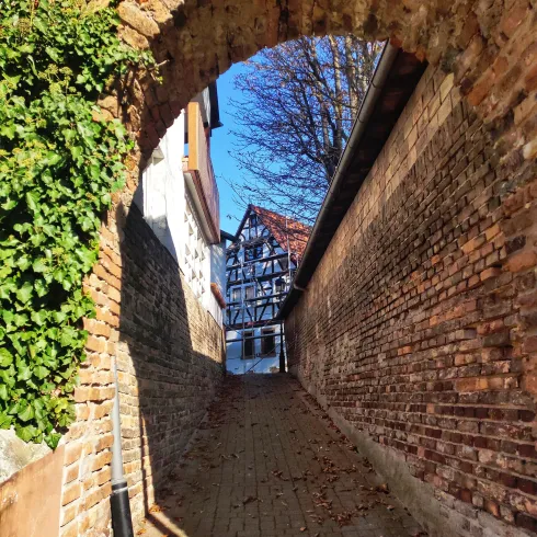 Ein schmaler Weg, der durch einen Bogen aus Ziegelsteinen führt. Im Hintergrund ist ein Fachwerkhaus sichtbar, umgeben von blauen Himmel und Bäumen.