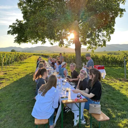 Eine lange Tafel unter einem großen Baum in einem Weinberg. Die Sonne scheint und es sitzen viele Menschen zusammen, um zu essen und zu trinken.
