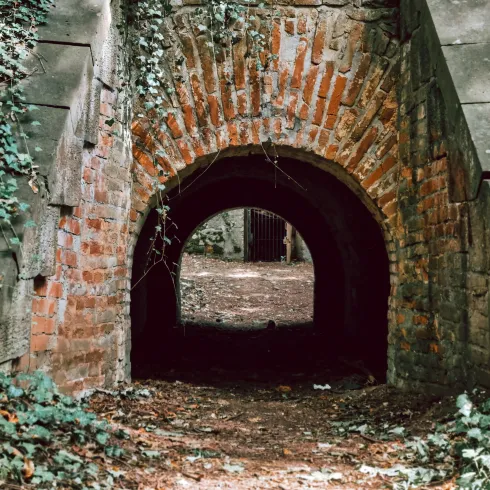 Ein alter, gemauerter Tunnel, umgeben von Pflanzen. Der lichtdurchflutete Hintergrund zeigt einen klaren Weg.