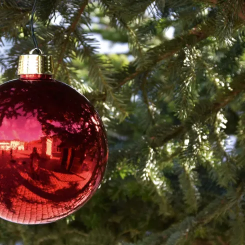 Weihnachtlich (© Pressestelle Stadt Landau)