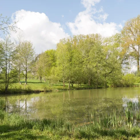Ein ruhiger Teich umgeben von üppigem Grün und Bäumen. Der Himmel ist teils bewölkt und lässt das Licht schön reflektieren.