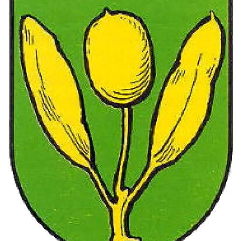 Ein Wappen mit einem blauen Hintergrund. Es zeigt zwei goldene Lilien und eine silberne Kreuzung auf einem gelben Schild.