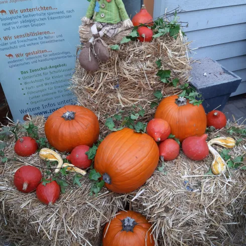 Herbstfest Herbstfest