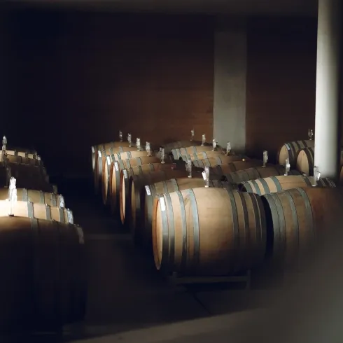 Ein Lagerraum mit mehreren Holzfässern. Die Fässer sind gut angeordnet und schaffen eine gemütliche Atmosphäre.
