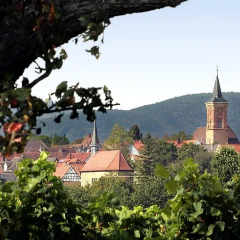 Landau-Nussdorf (© Stadt Landau - BfT)