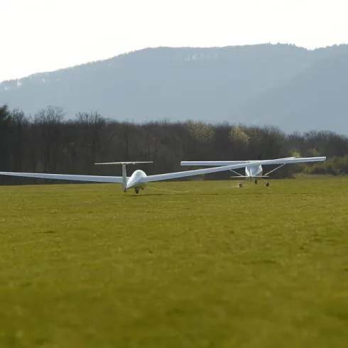 Zwei Segelflugzeuge stehen auf einem grünen Feld. Im Hintergrund sind sanfte Hügel und Bäume zu sehen.