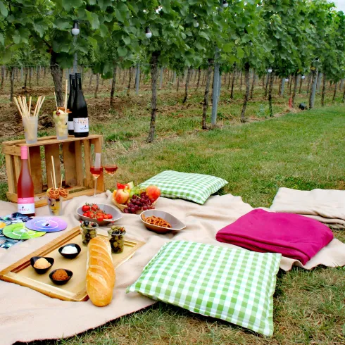 Picknick im Wingert Picknick im Wingert
