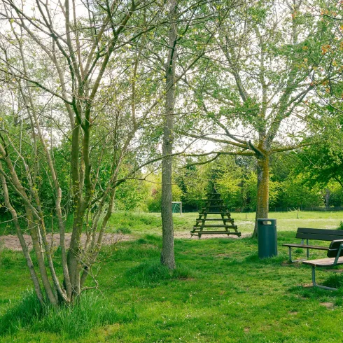 Ein ruhiger Park mit mehreren Bäumen und einer Wiese. Im Hintergrund ist eine Holzbank und ein Spielplatz zu sehen.