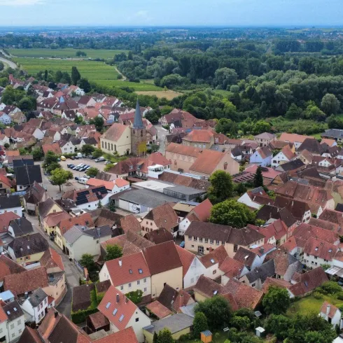 Eine malerische Stadt mit vielen Häusern und roten Dächern, umgeben von grünen Feldern. Im Hintergrund sind Wälder und eine weite Landschaft sichtbar.