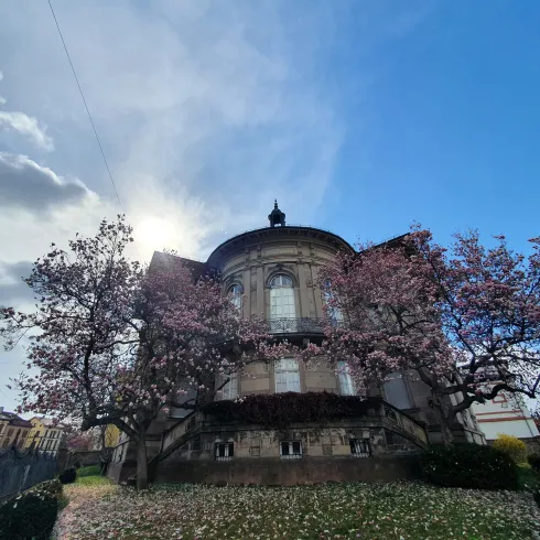 Blick auf die Villa Streccius