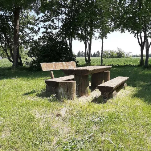 Ein rustikaler Holztisch mit Bänken in einer grünen Wiese. Umgeben von Bäumen und einem klaren Himmel.