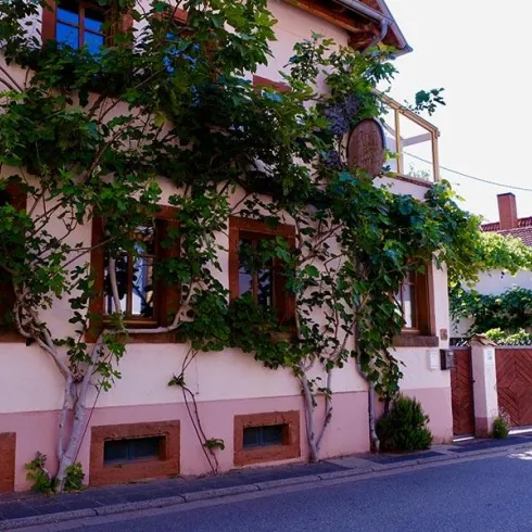 Weingut Rummel Nußdorf