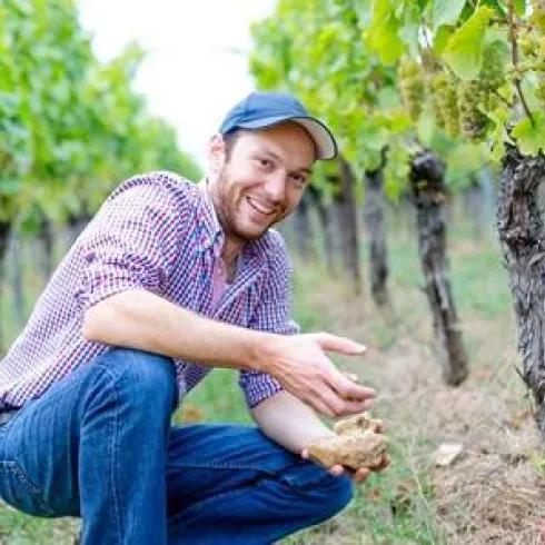 Ein Weinbauer kniet inmitten von Reben und hält eine Traube in der Hand. Er lächelt und zeigt seine Zufriedenheit mit der Ernte.