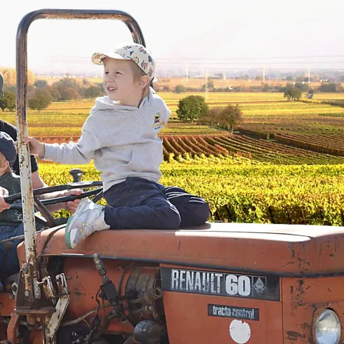3 Jungs mit Traktor mit HG für SÜW (© Weingut Thomas Pfaffmann)