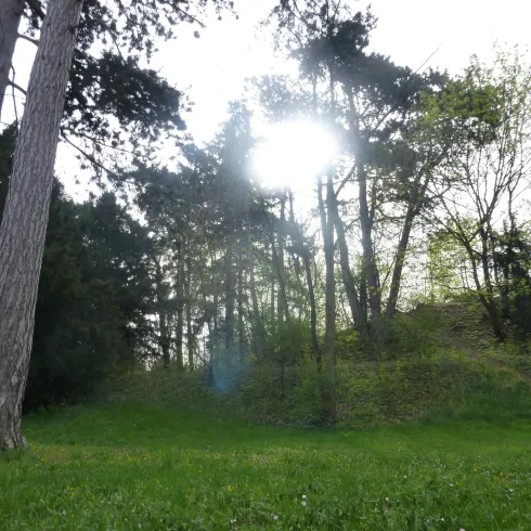 Landauer Nordpark heute (© Frank Hetzer)