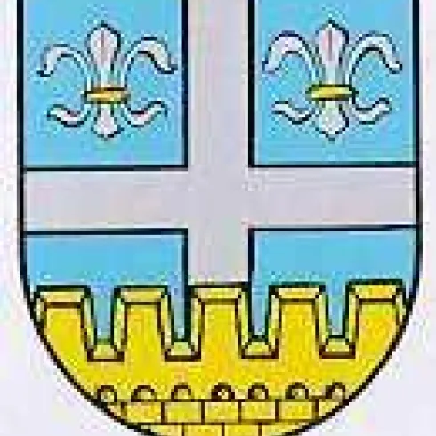 Ein Wappen mit einem blauen Hintergrund. Es zeigt zwei goldene Lilien und eine silberne Kreuzung auf einem gelben Schild.