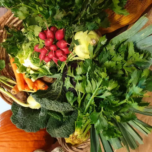 Ein Korb voller frisches Gemüse, darunter Radieschen, Karotten, Sellerie und verschiedene Kräuter. Die bunten Zutaten sind einladend und gesund.