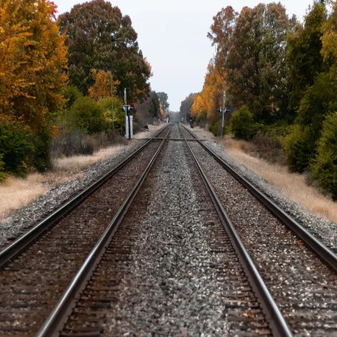 Symbolfoto - Freepik -wirestock