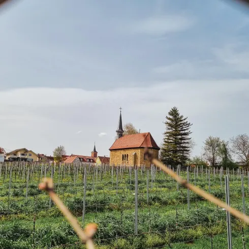 Blick hinauf zur Nepomuk Kapelle