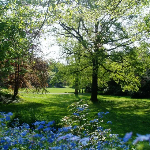 Goethepark im Frühling