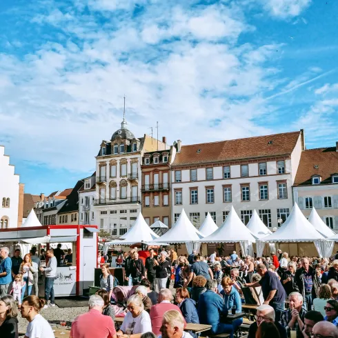 Rathausplatz mit Reiter
