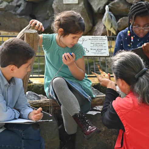 Kinder sitzen an einem Zaun in einem Zoo und beobachten Tiere. Eine Betreuerin erklärt etwas, während die Kinder interessiert zuhören.